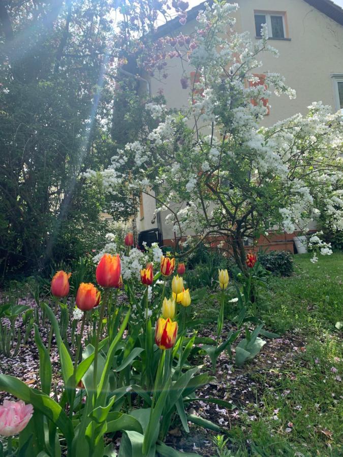 Apartament Blumenblick Rielasingen-Worblingen Exterior foto
