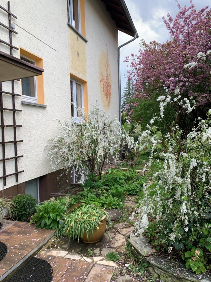 Apartament Blumenblick Rielasingen-Worblingen Exterior foto