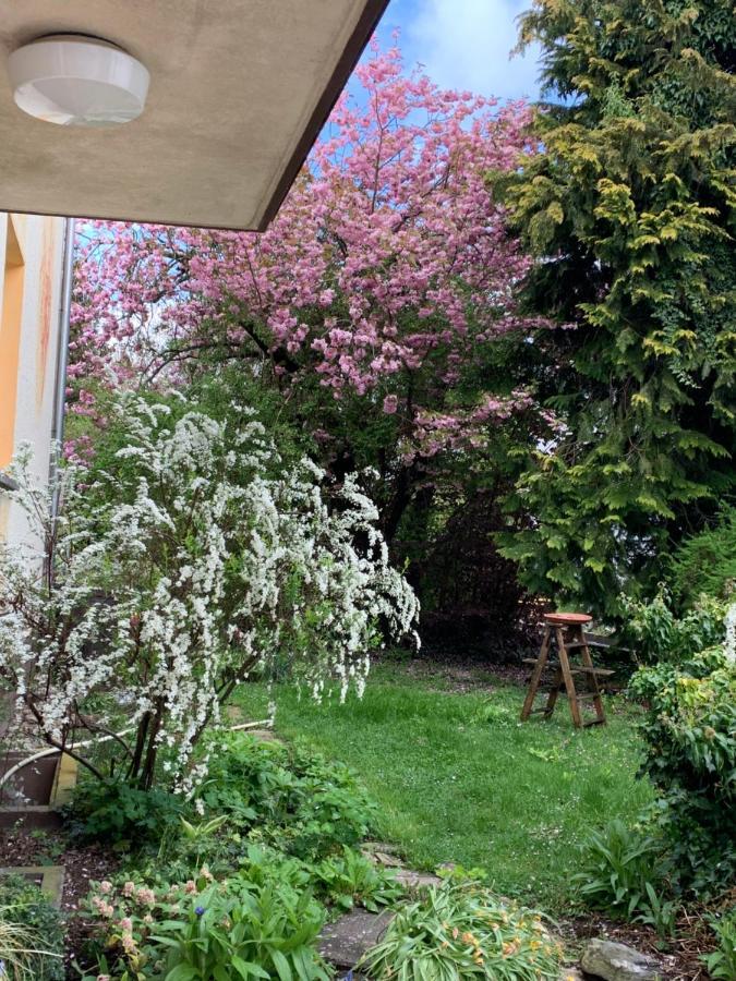 Apartament Blumenblick Rielasingen-Worblingen Exterior foto